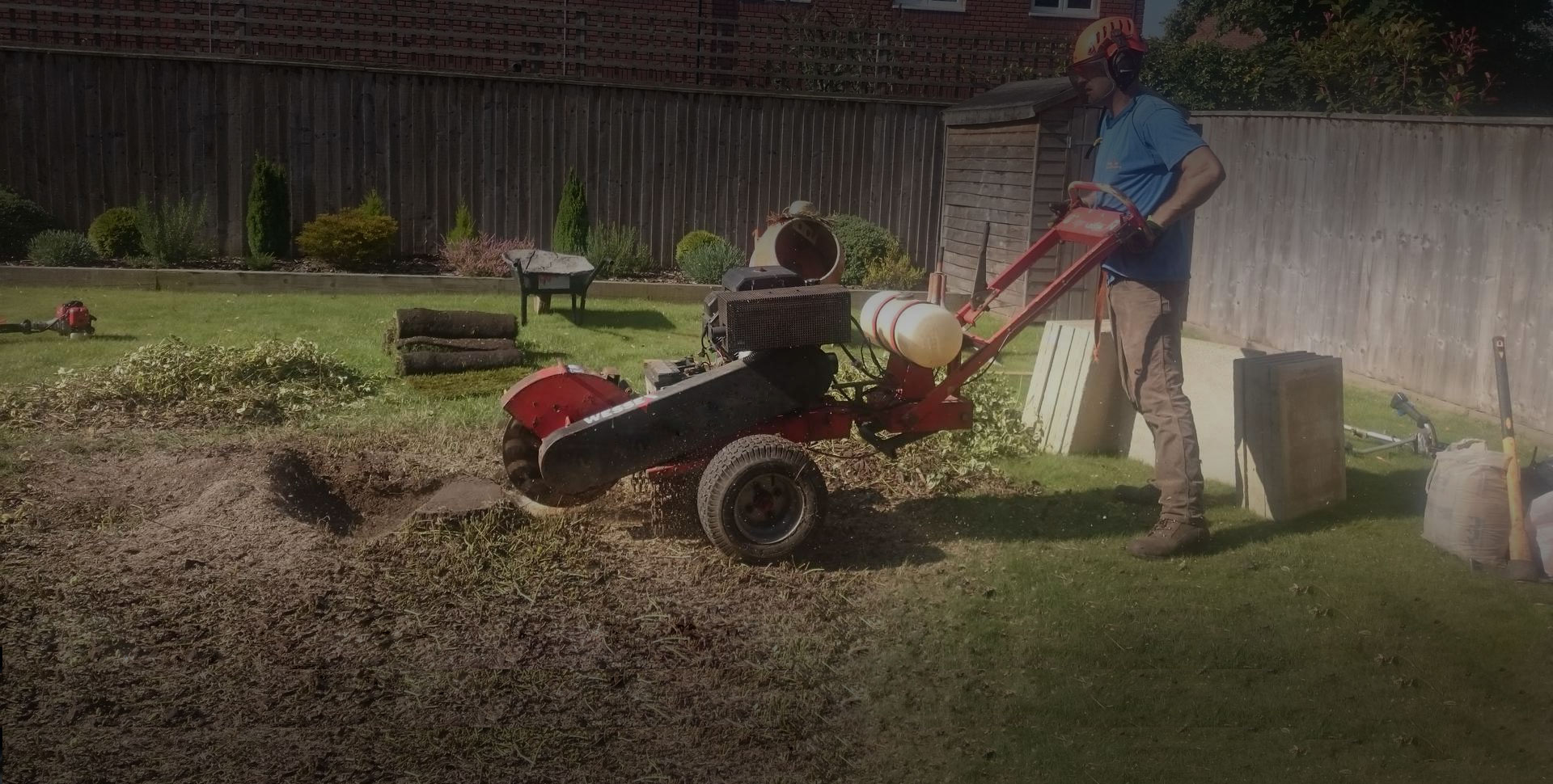 tree and stump removal hobart