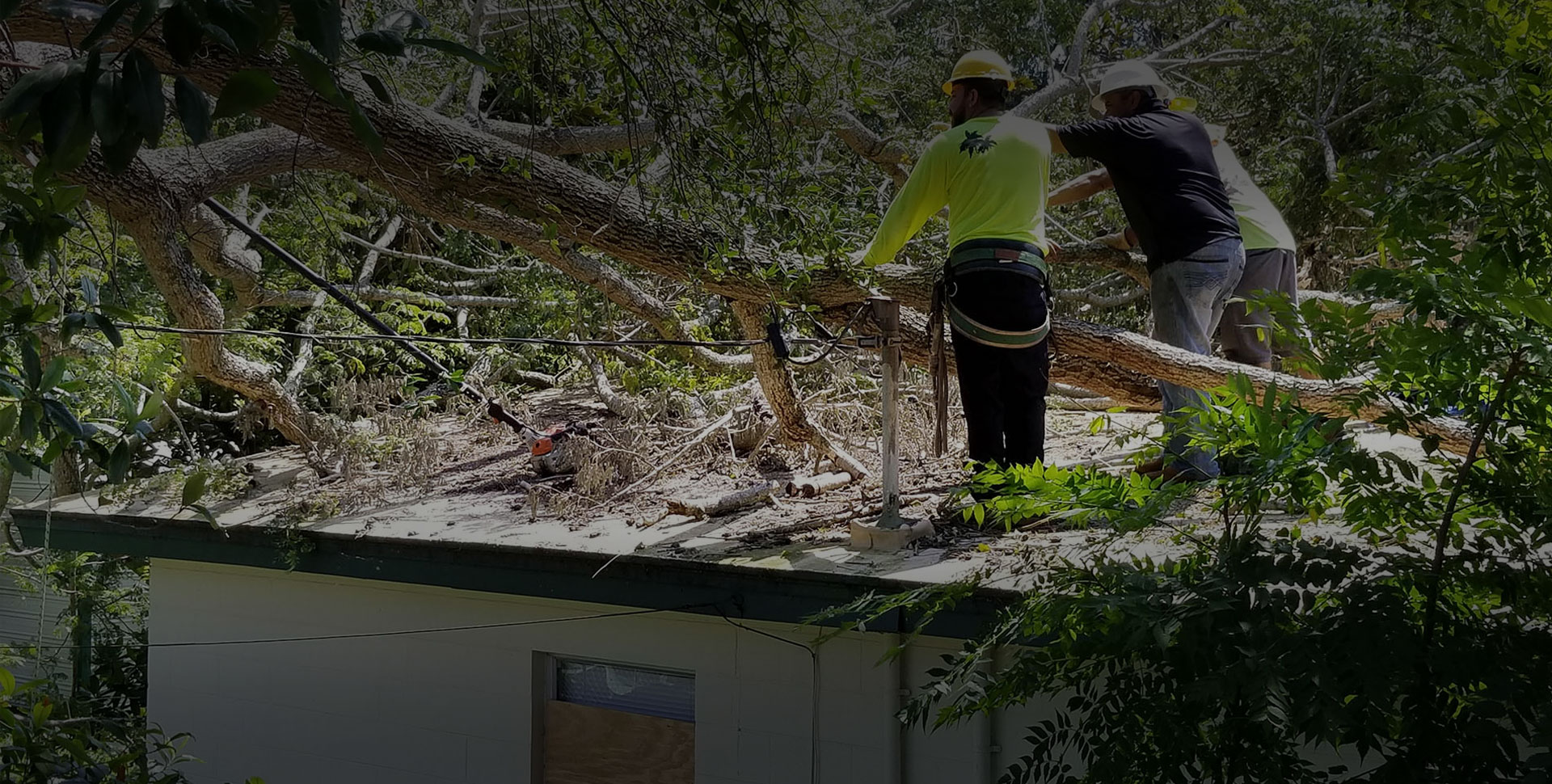 emergency tree work hobart