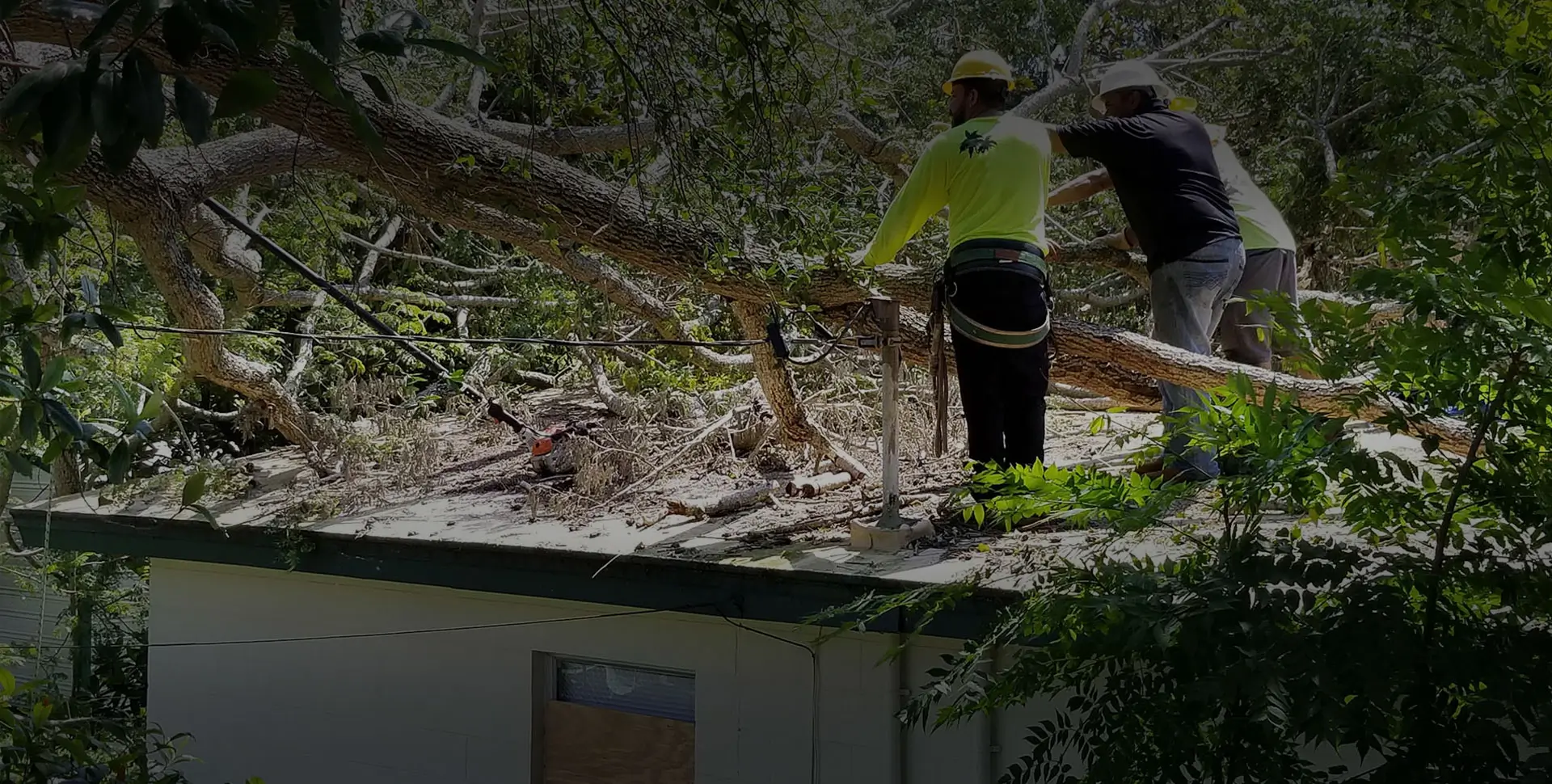 Emergency tree work by Matthew Clements Tree Service
