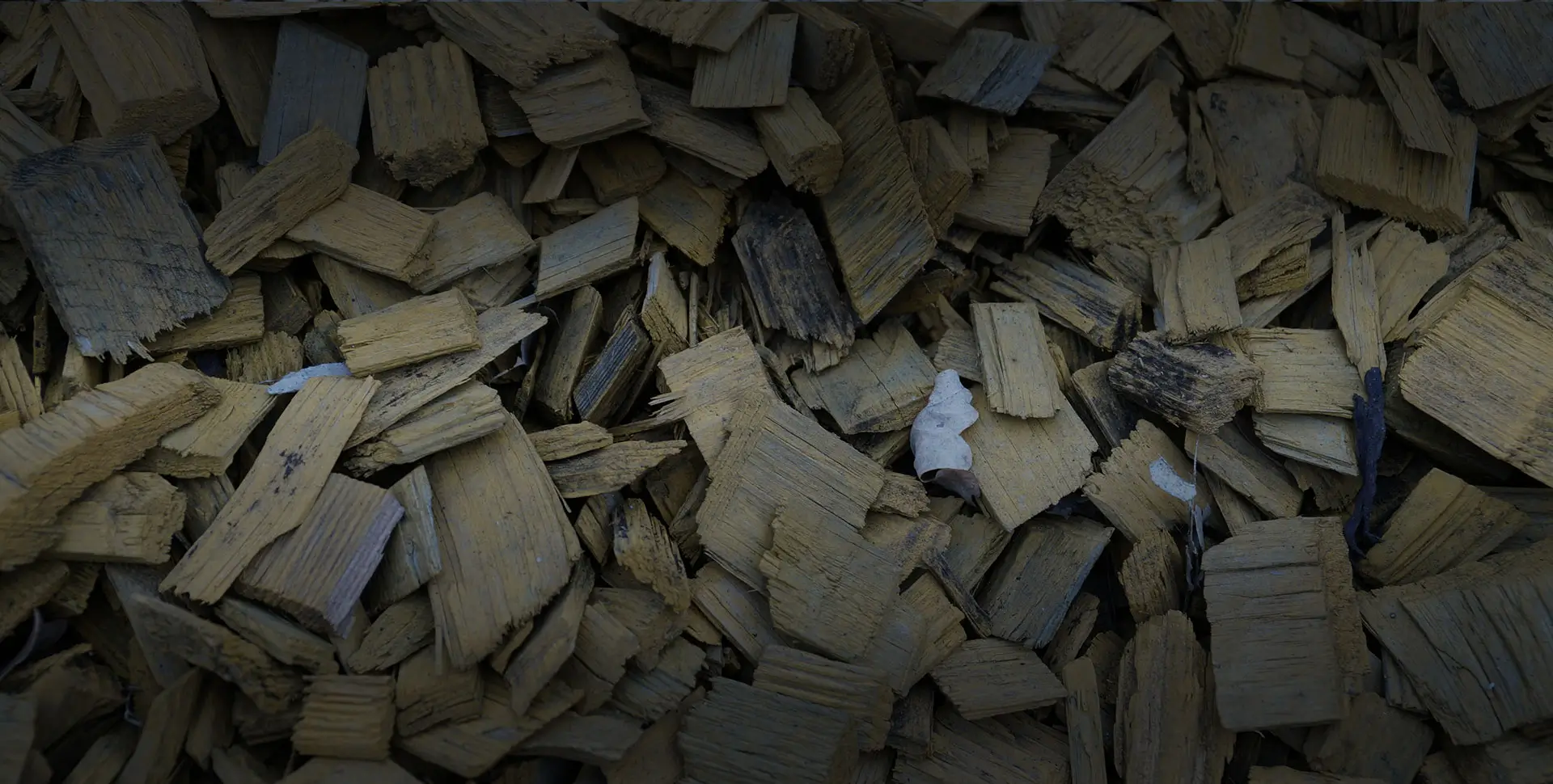 Wood chipping by Matthew Clements Tree Services, your local tree specialist