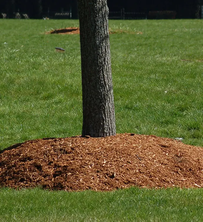 wood-chipping-by-matthew-clements-tree-services Wood chipping by Matthew Clements Tree Services, the best arborist in Hobart