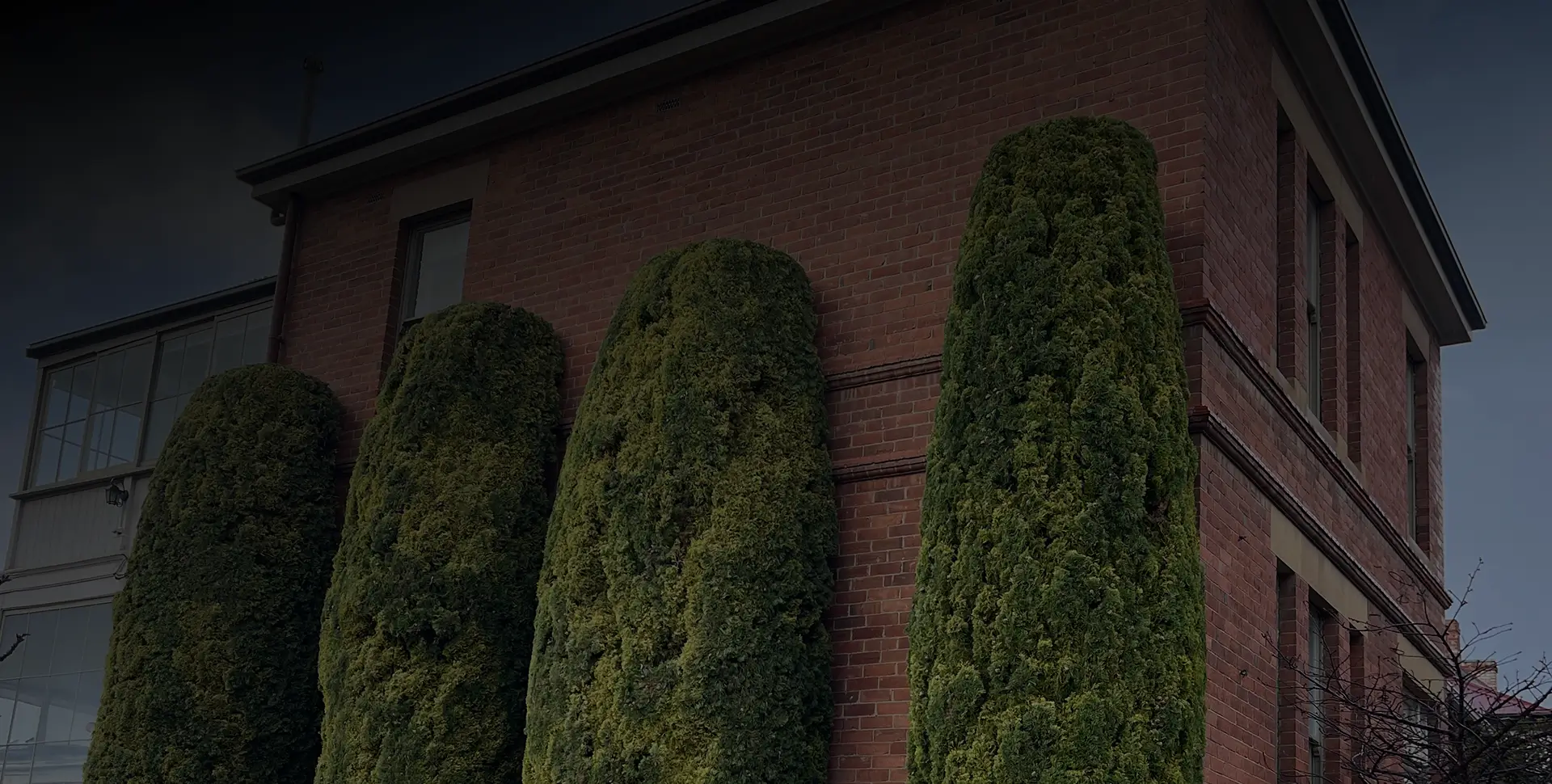 Matthew Clements Tree Services offers professional tree arborist services in southern Tasmania