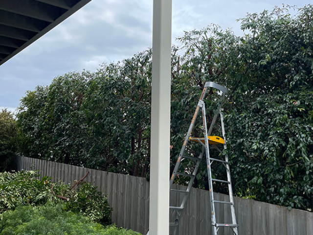 Hedge trimming along fence lines by Matthew Clements Tree Service