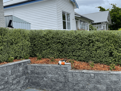 The ultimate guide to hedge trimming in Southern Tasmania