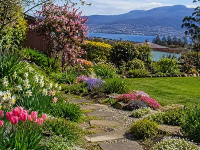 Preparing your garden and trees for spring growth: a 6-week plan for Hobart gardens