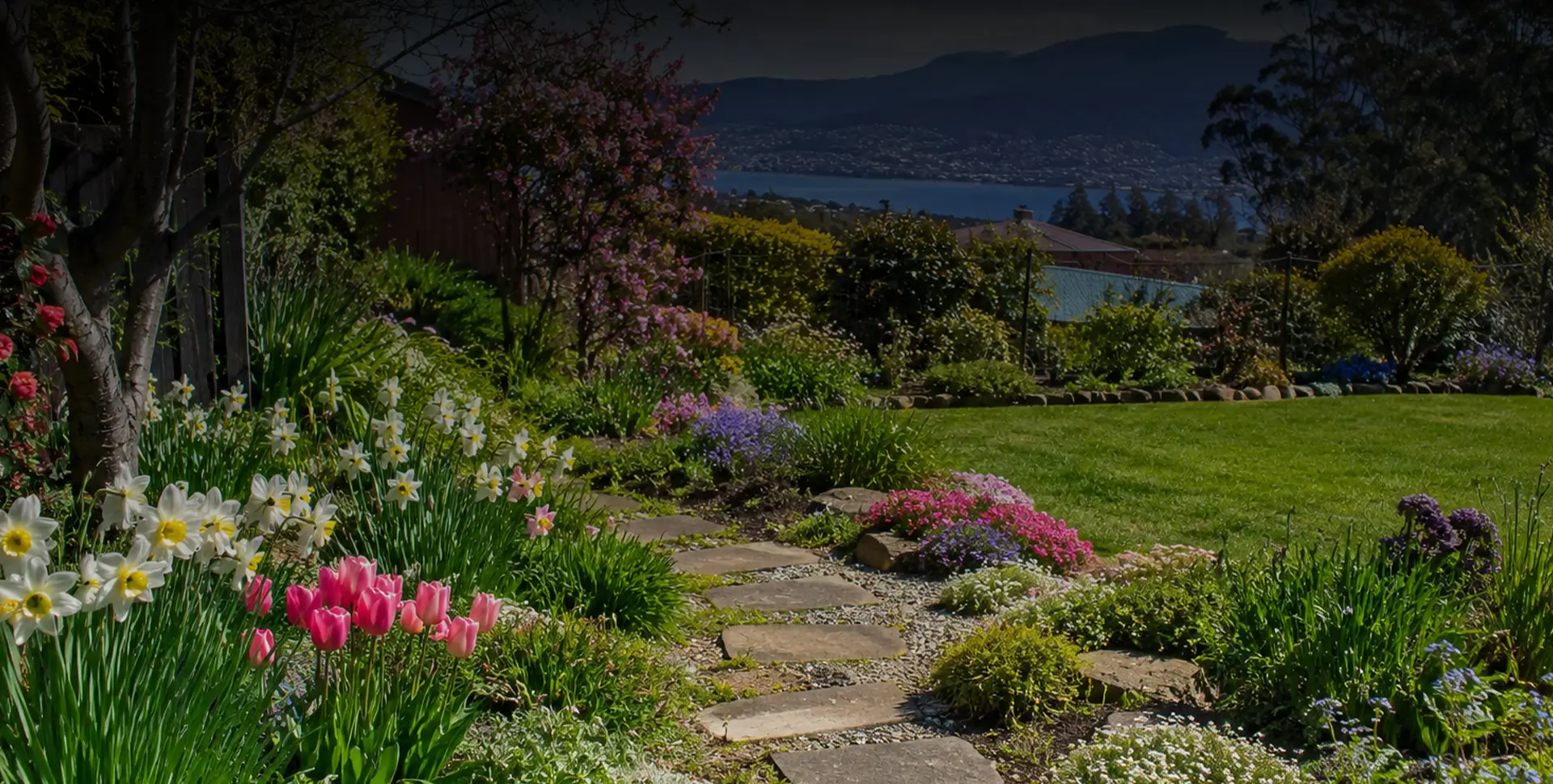 Preparing Your Garden and Trees for Spring Growth: A 6-Week Plan for Hobart Gardens