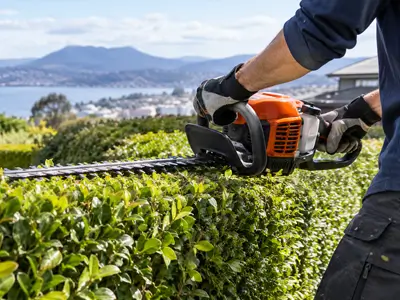 When Is the Best Time to Trim a Hedge in Tasmania?