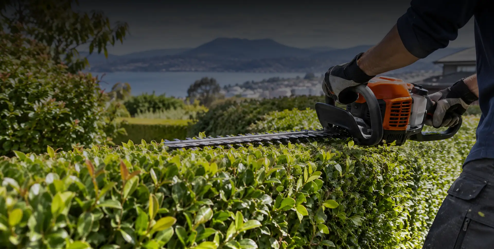 When Is the Best Time to Trim a Hedge in Tasmania?